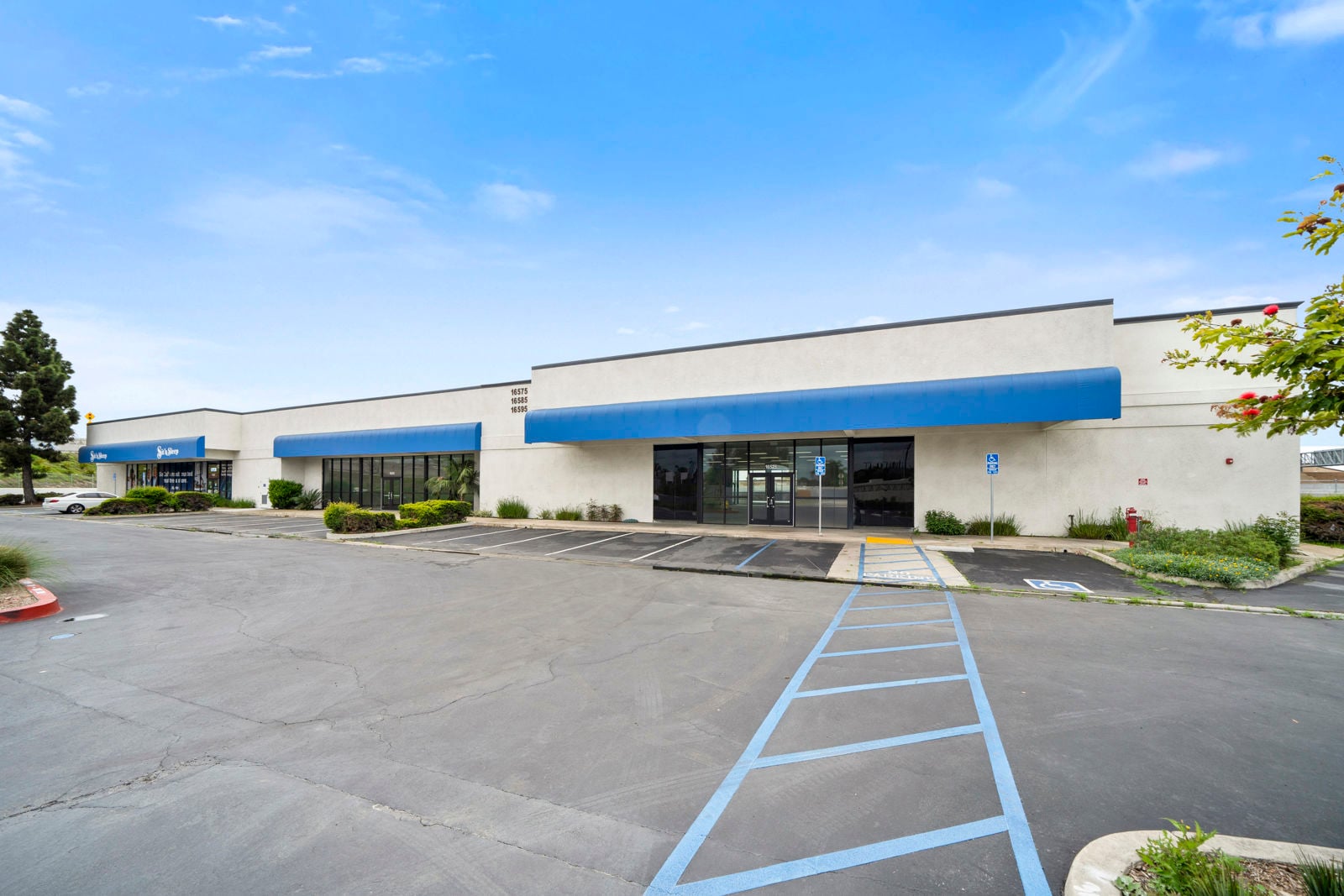 2-print-16595-magnolia-st