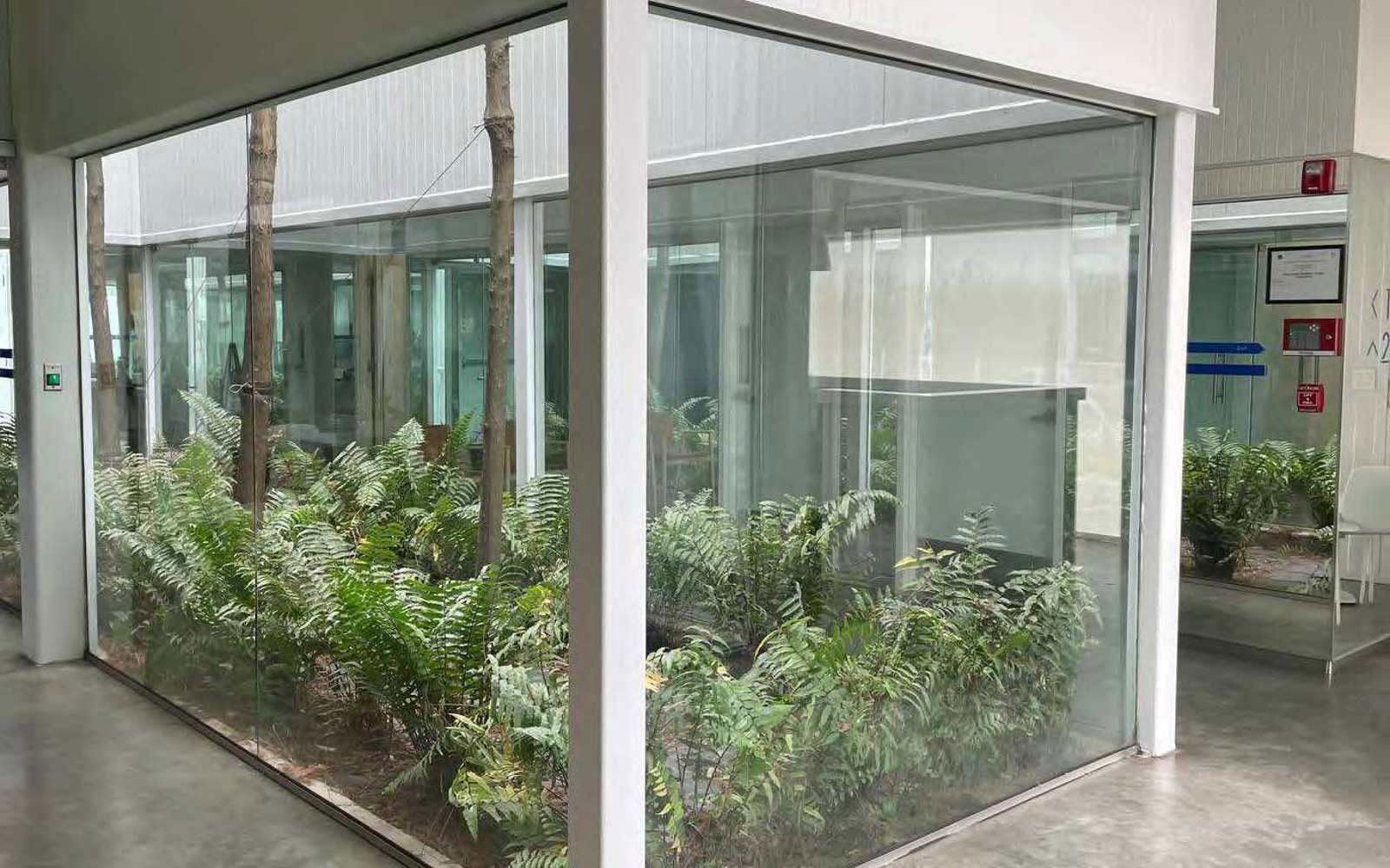 Garden Photo