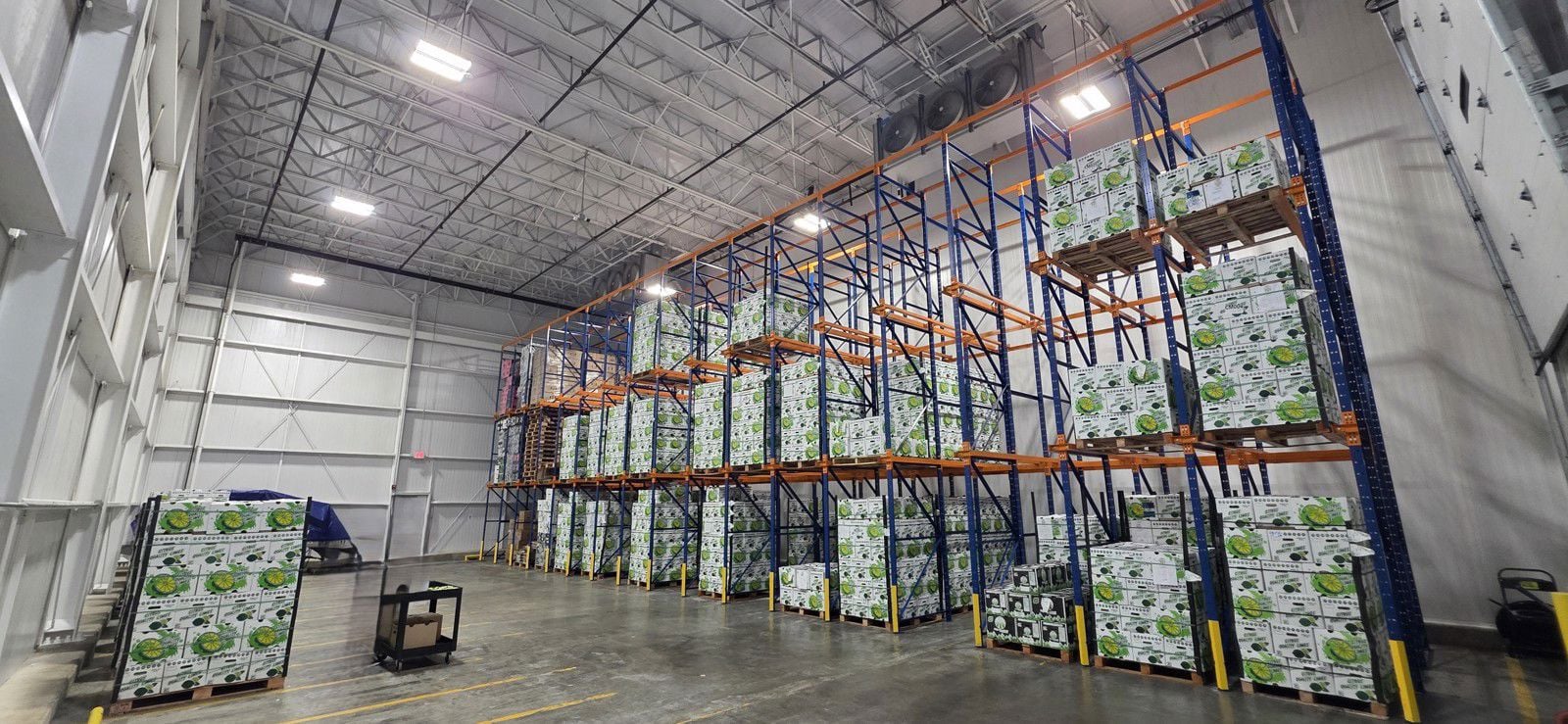 20260113_104709 Copy