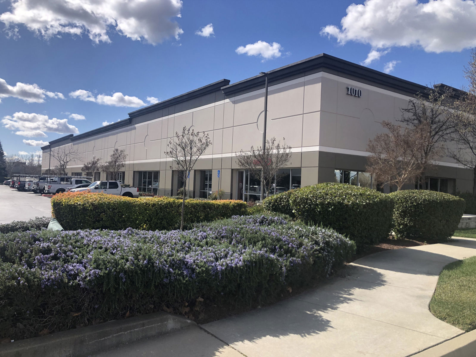 New Paint Scheme (2)