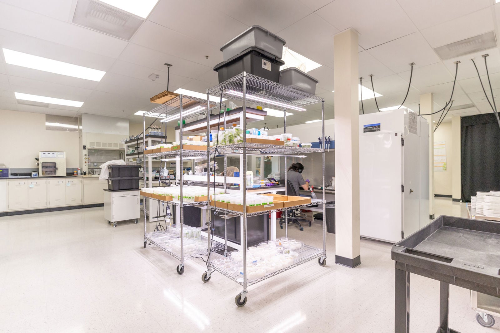 30780 Santana Hayward-17