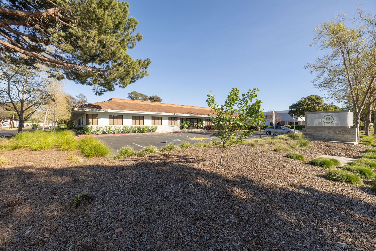 30780 Santana Hayward-36