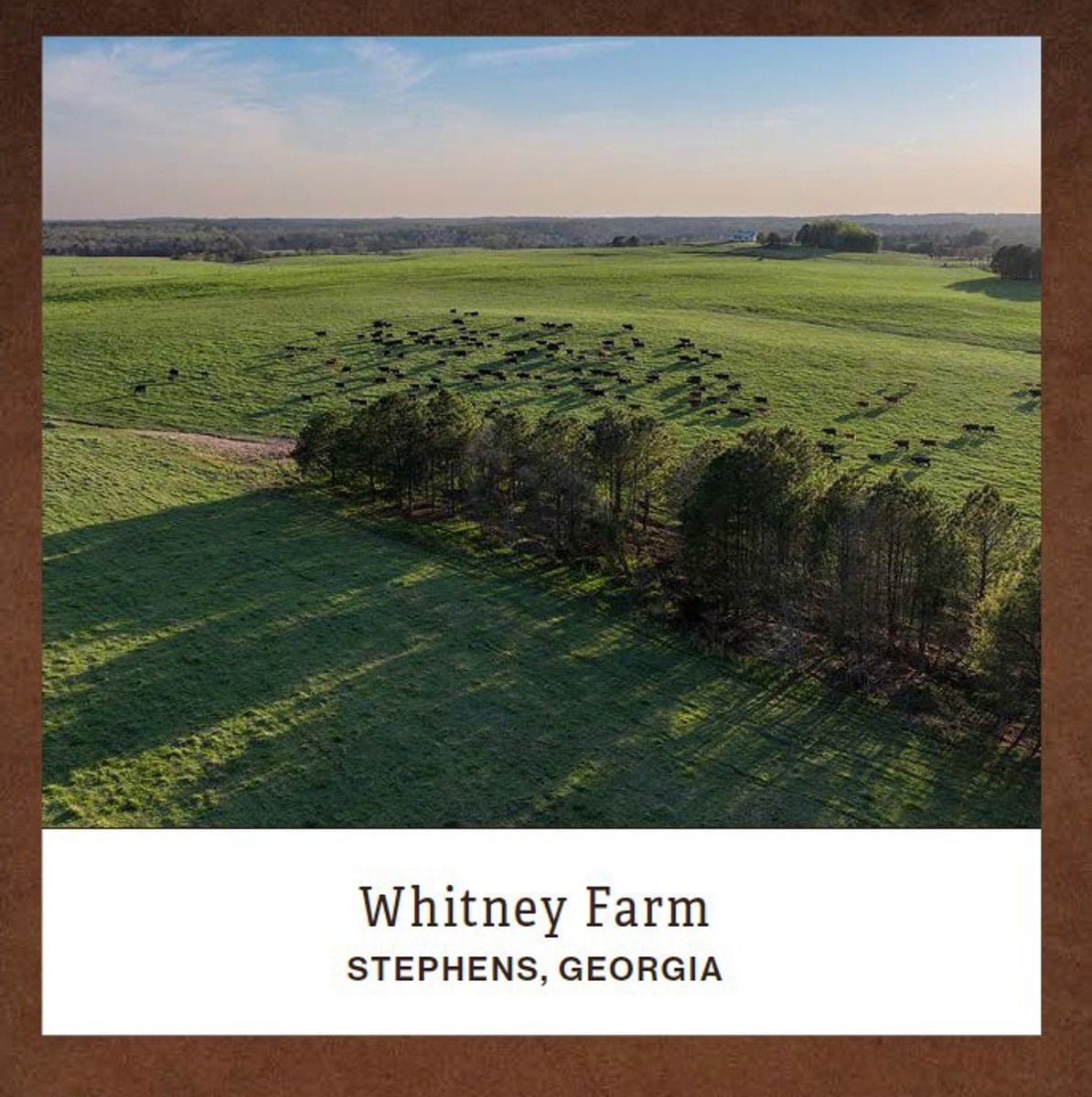 Whitney Farm Cover Photo