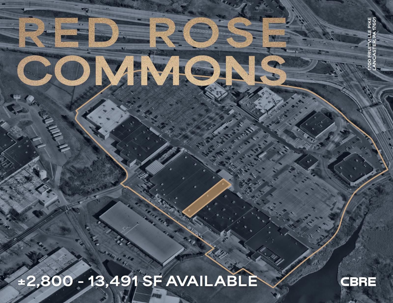 Red Rose Cover
