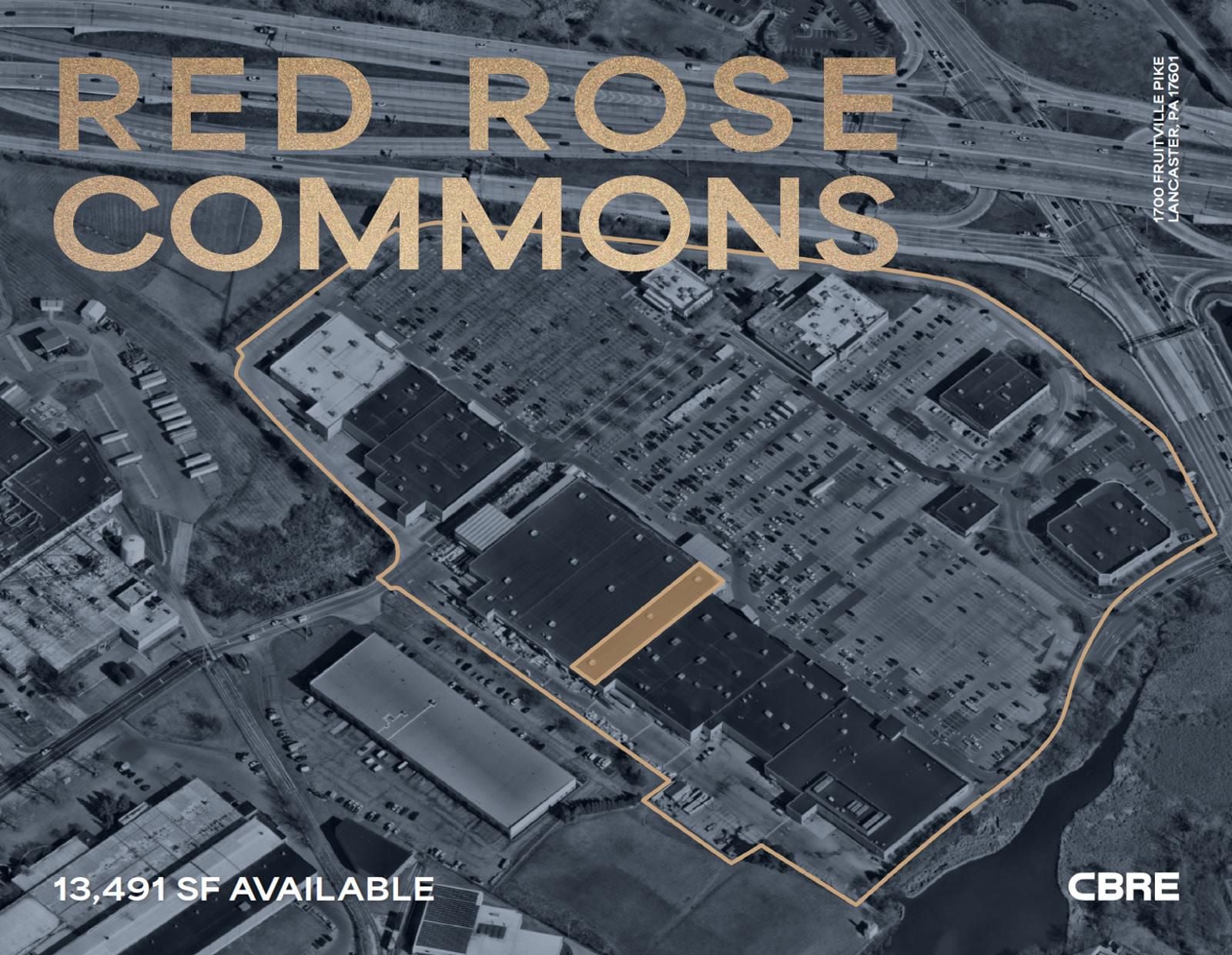 Red Rose Cover Photo