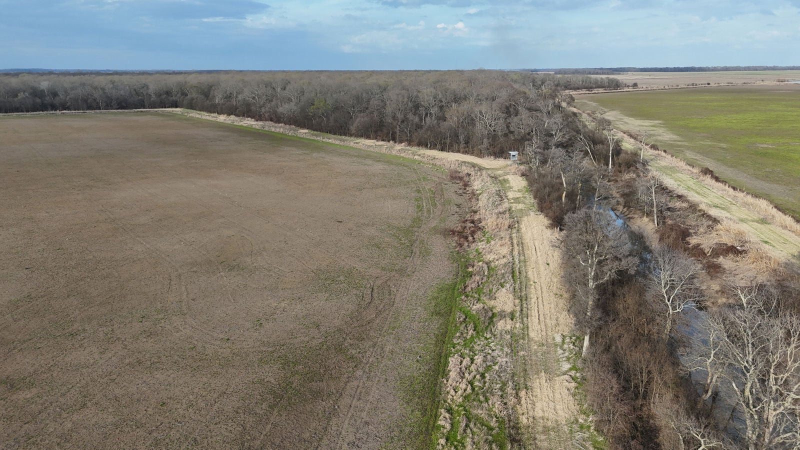 dji_fly_20260303_113922_0074_1772724790409_photo.JPG