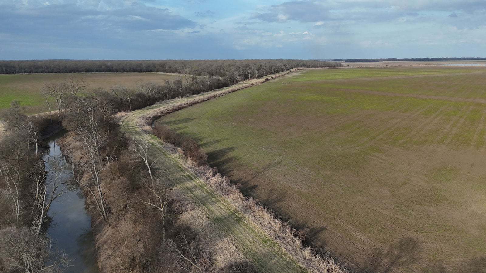 dji_fly_20260303_113814_0071_1772724791214_photo.JPG