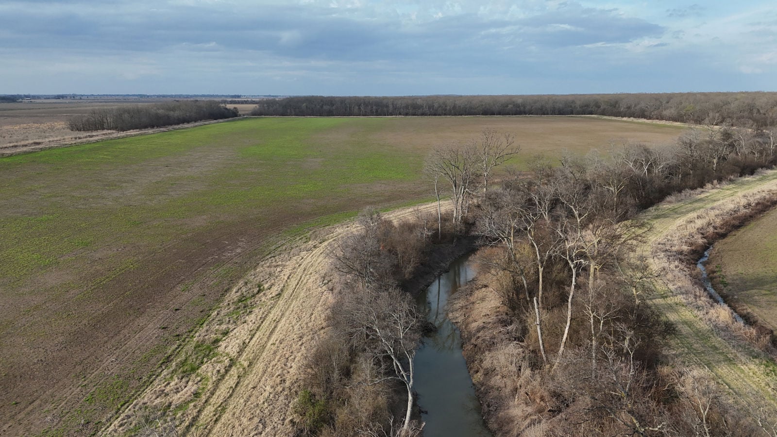 dji_fly_20260303_113824_0072_1772724790977_photo.JPG