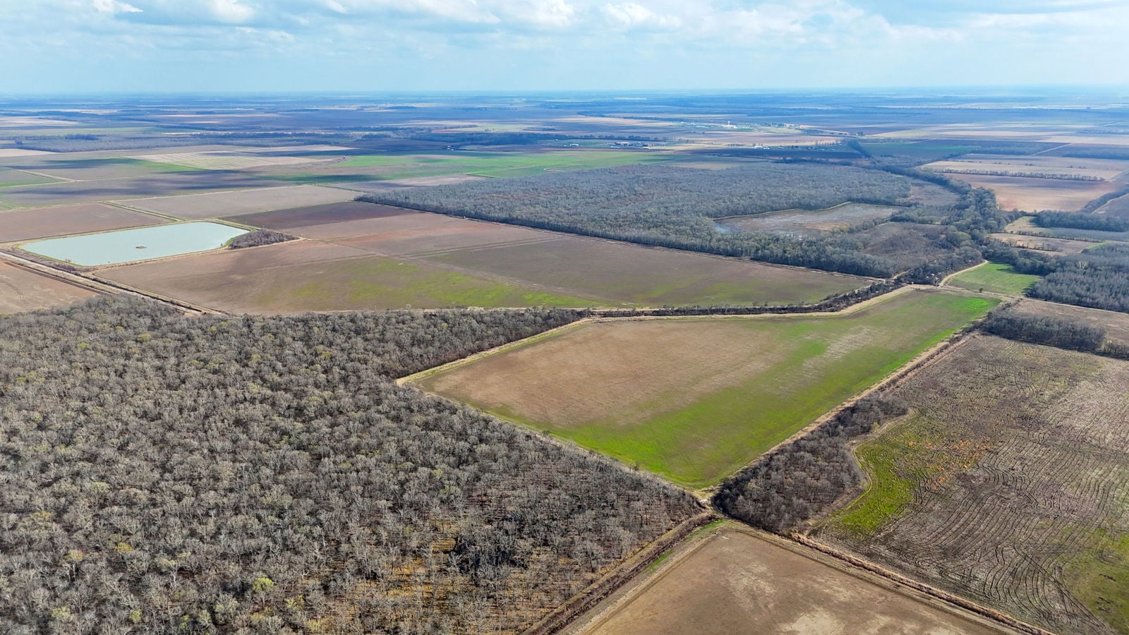 dji_fly_20260303_103012_0061_1772724793245_photo.JPG