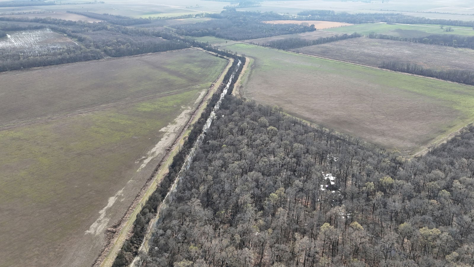 dji_fly_20260303_103238_0066_1772724792505_photo.JPG