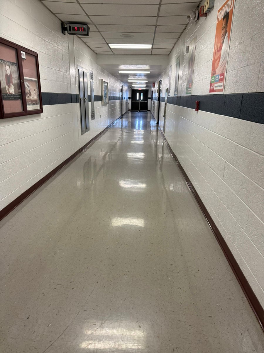 IMG_6992.JPEG