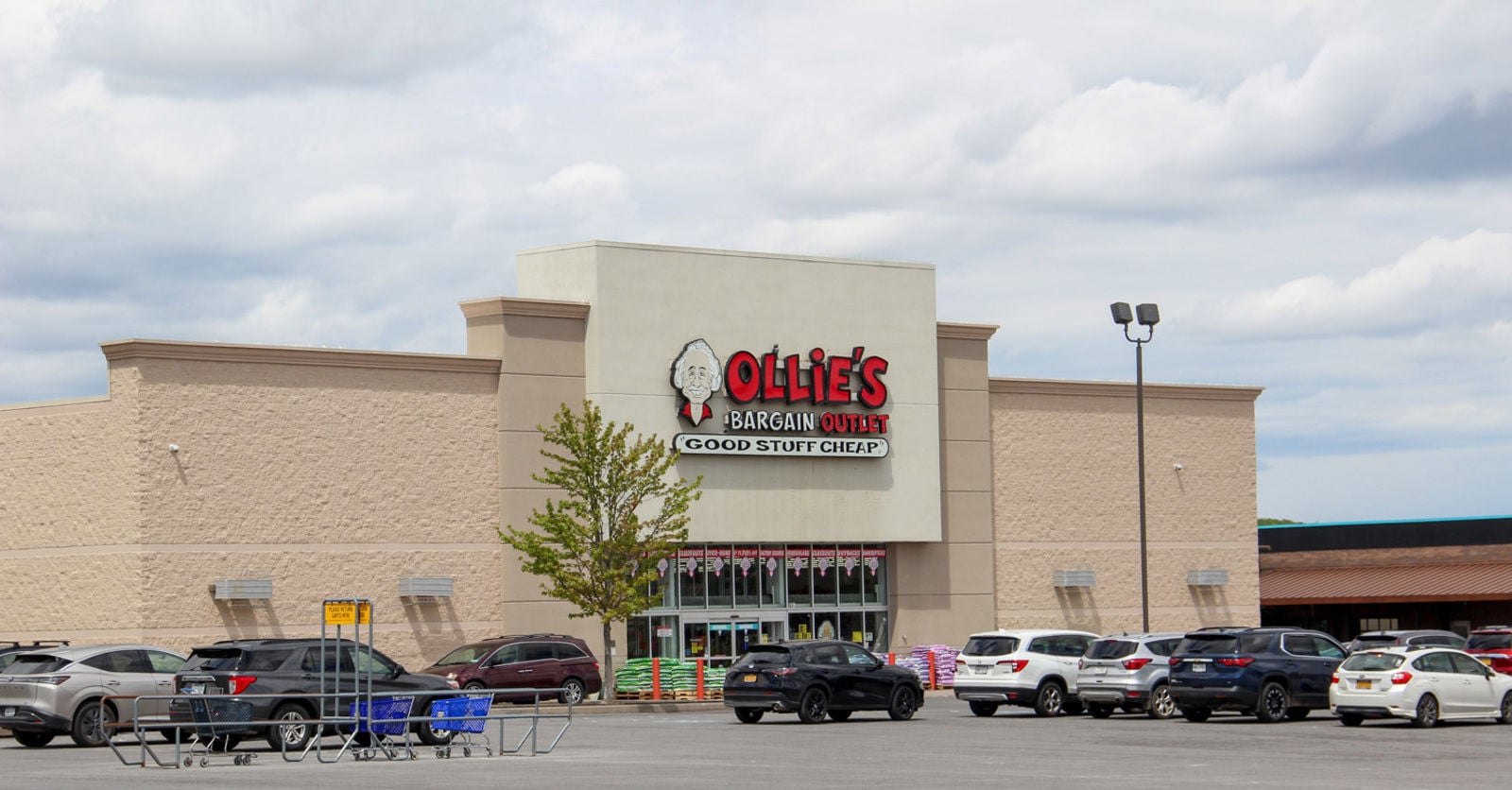 Ollie's