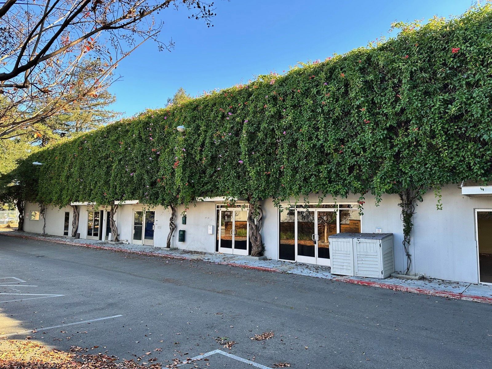 Exterior 2