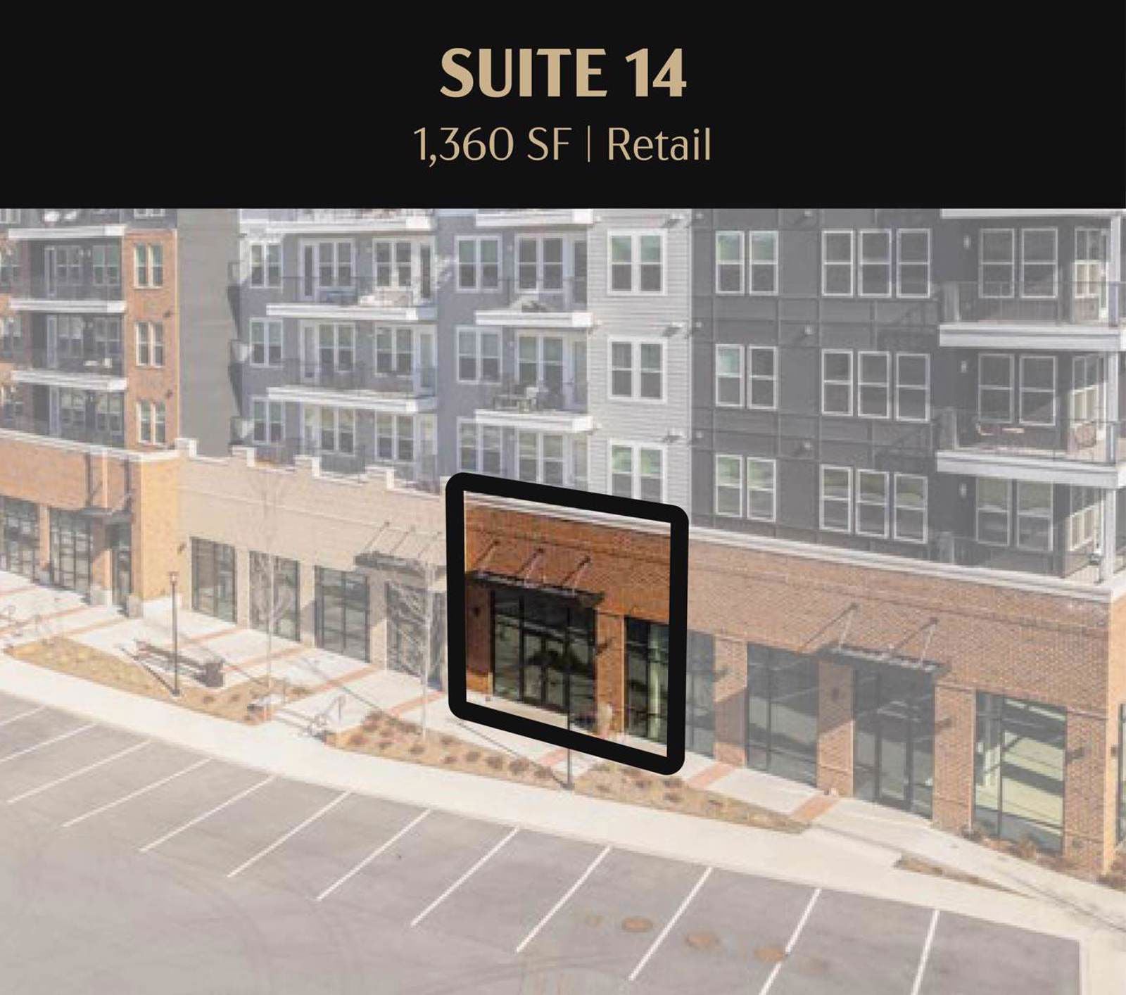 Suite 14
