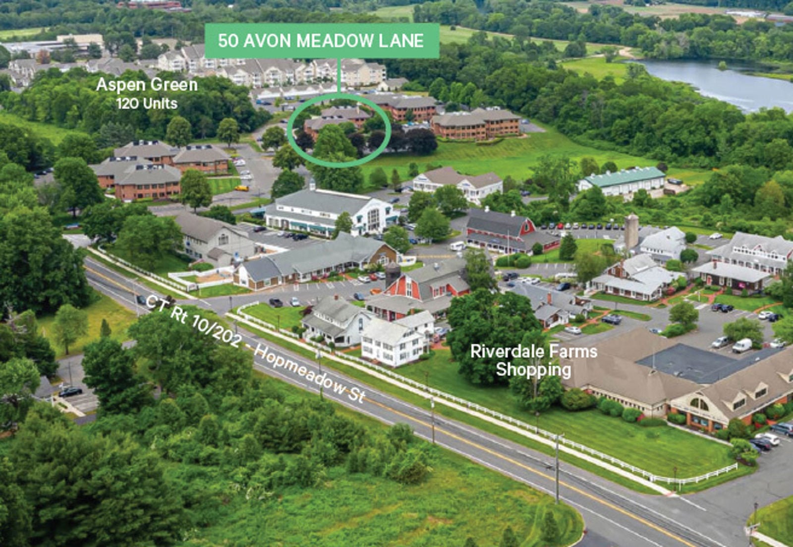50 Avon Meadow_Aerial View