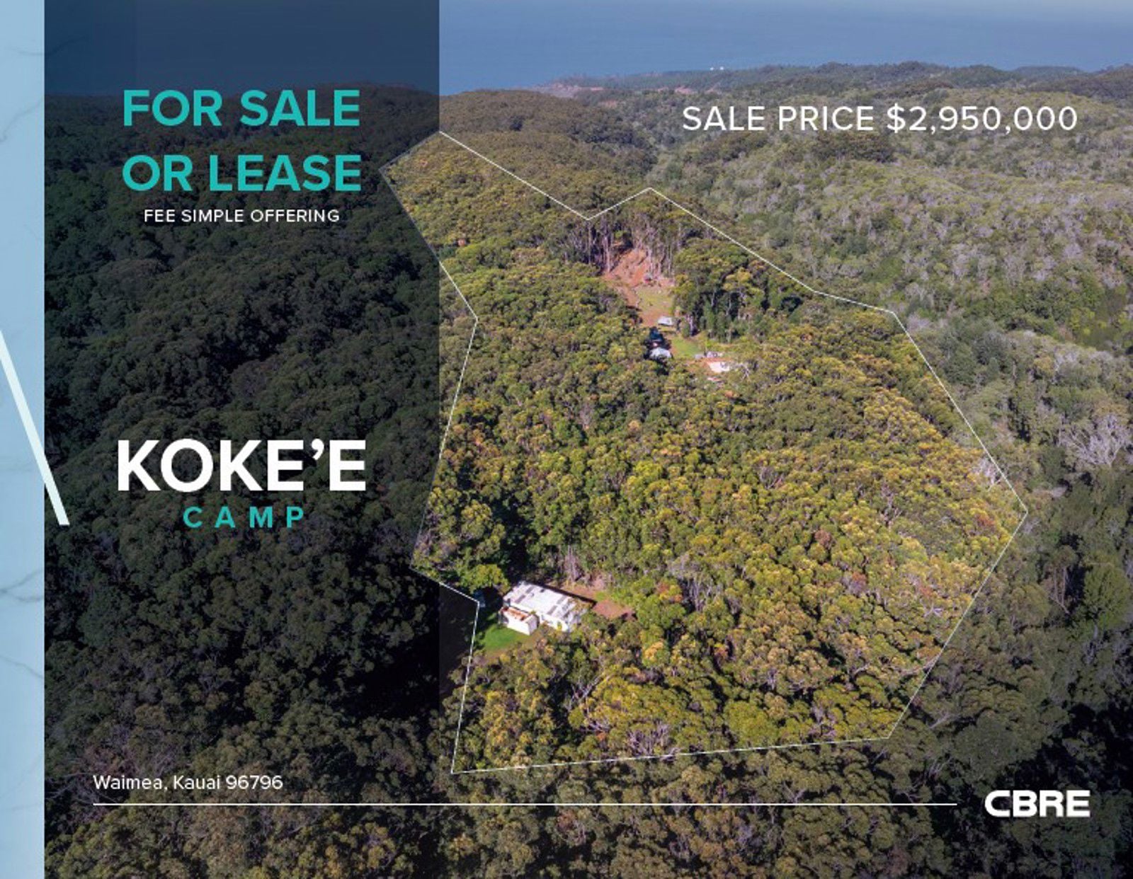 Kokee Camp - Photo