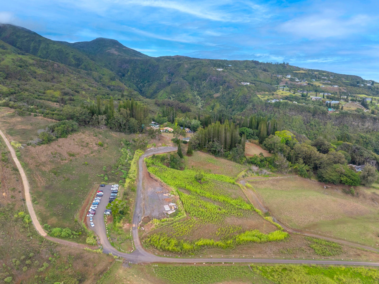 Maluhia Land - photo