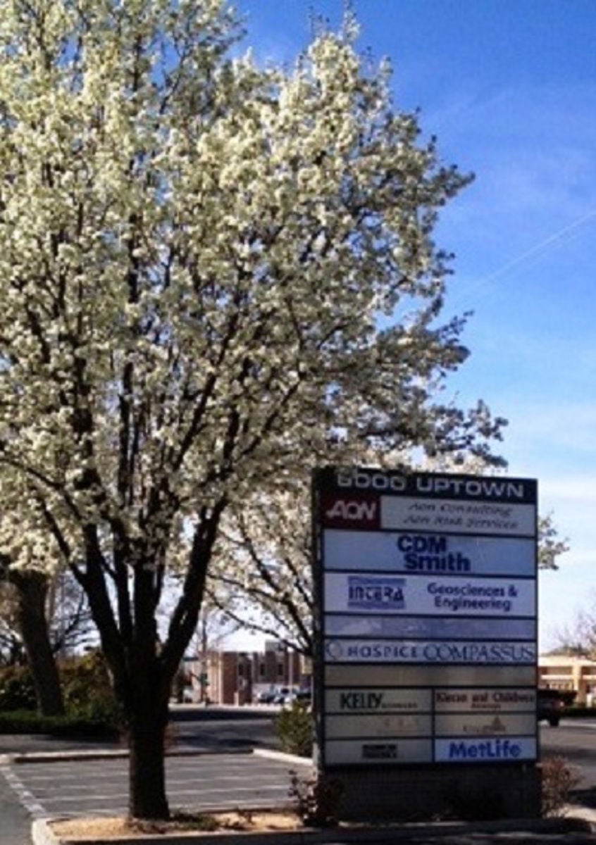 San Pedro Monument.JPG