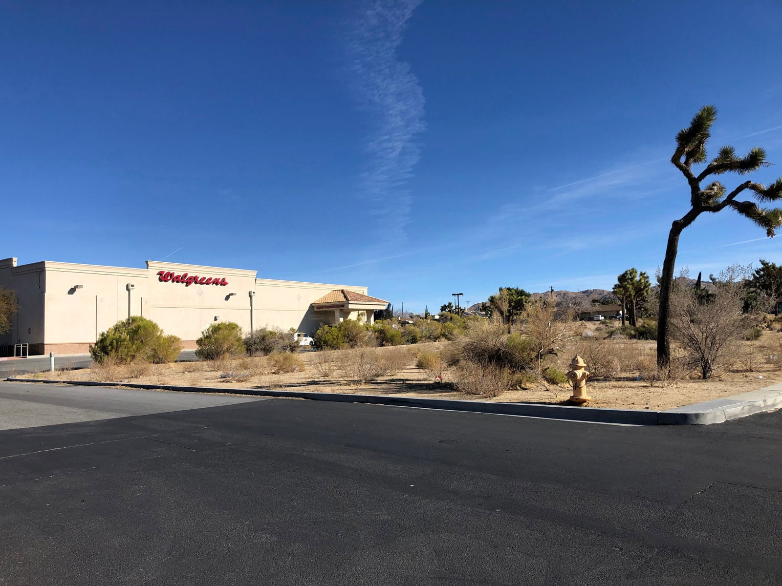 Walgreens back parcel