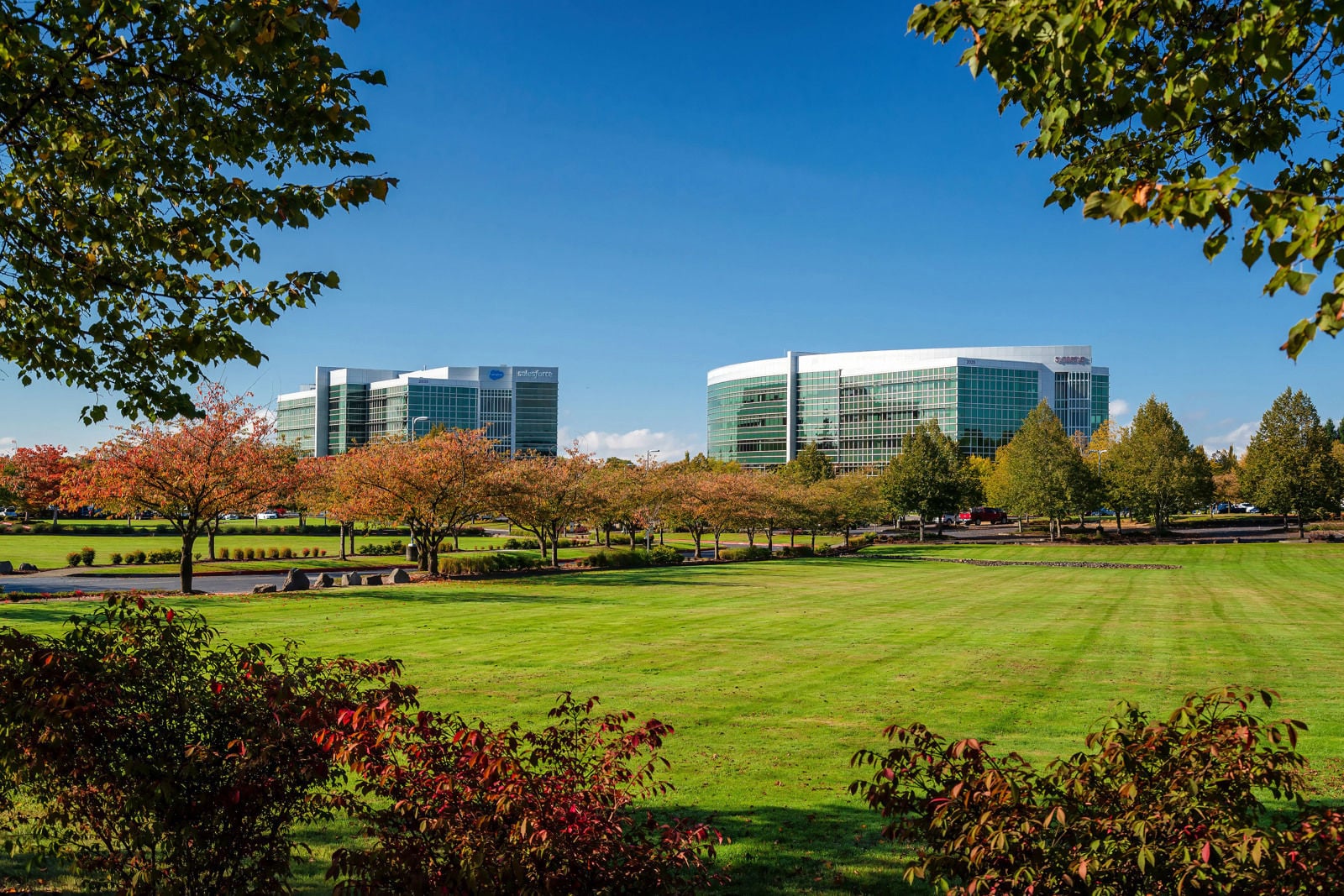 Synopsys_059