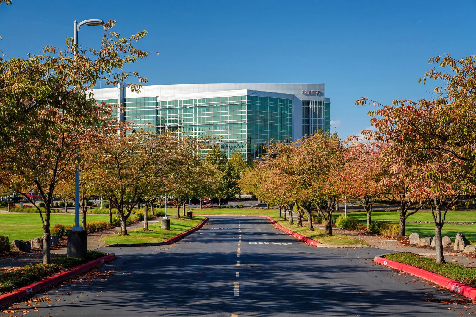 Synopsys_062