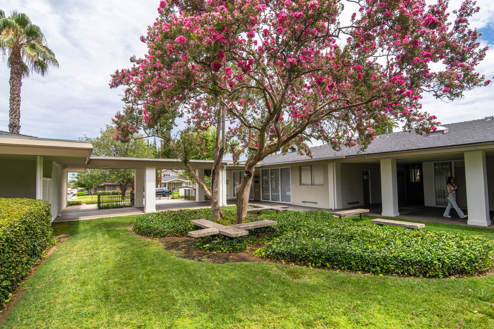 16 Fern Ave 36