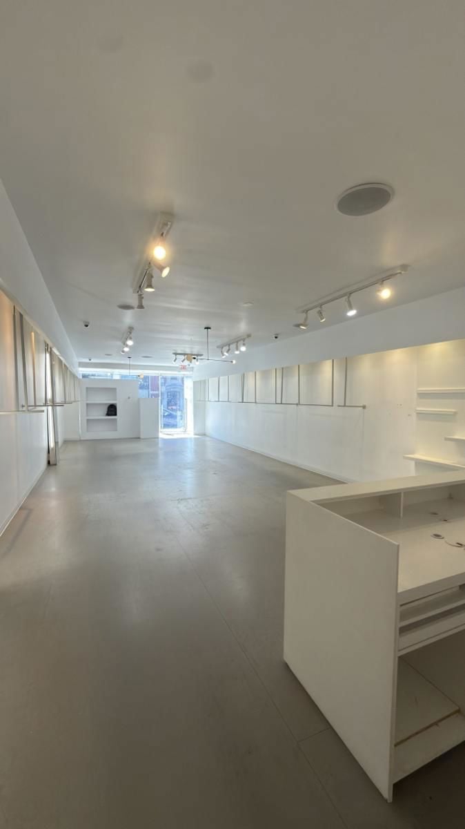 1715 N. Damen