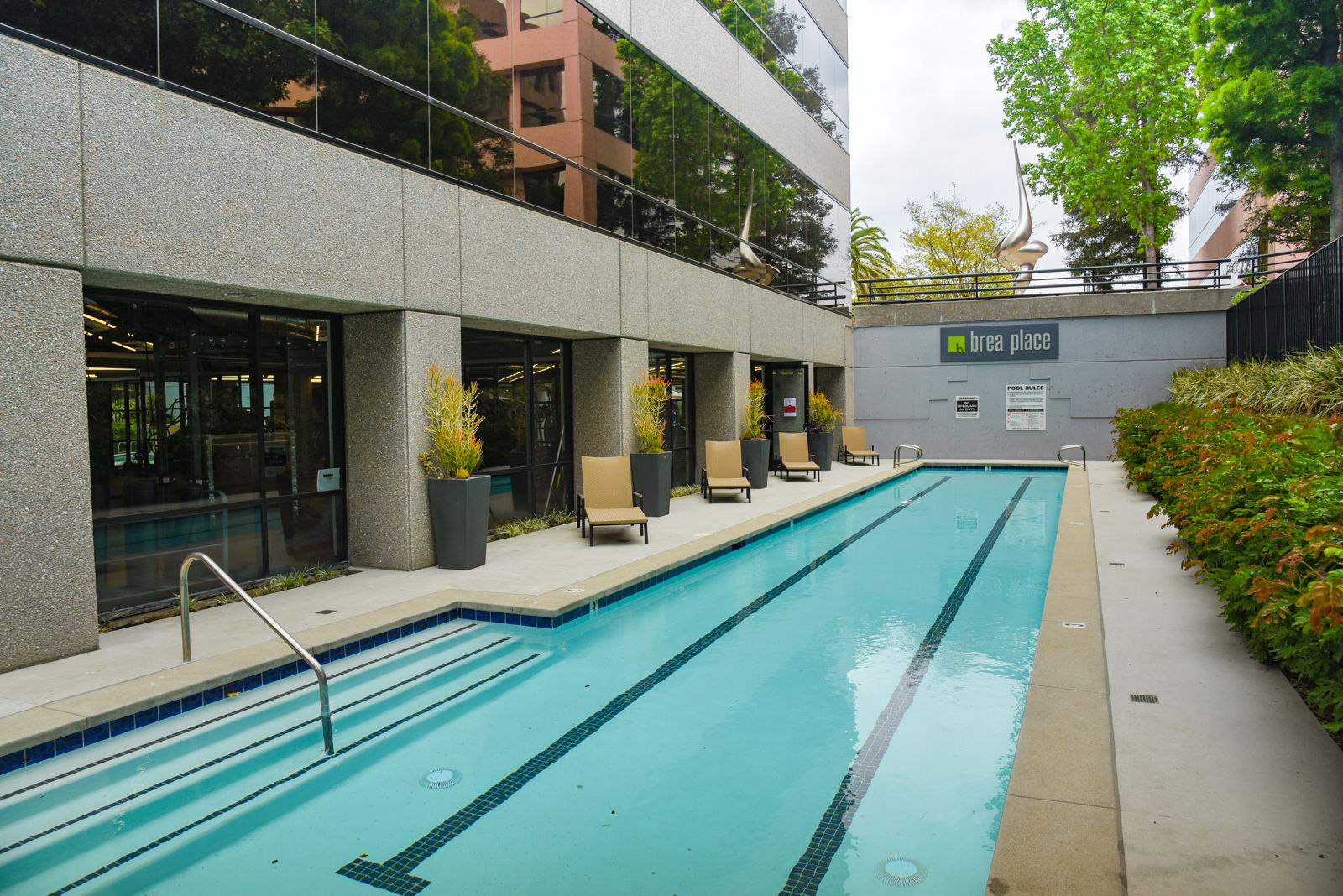 Lap Pool