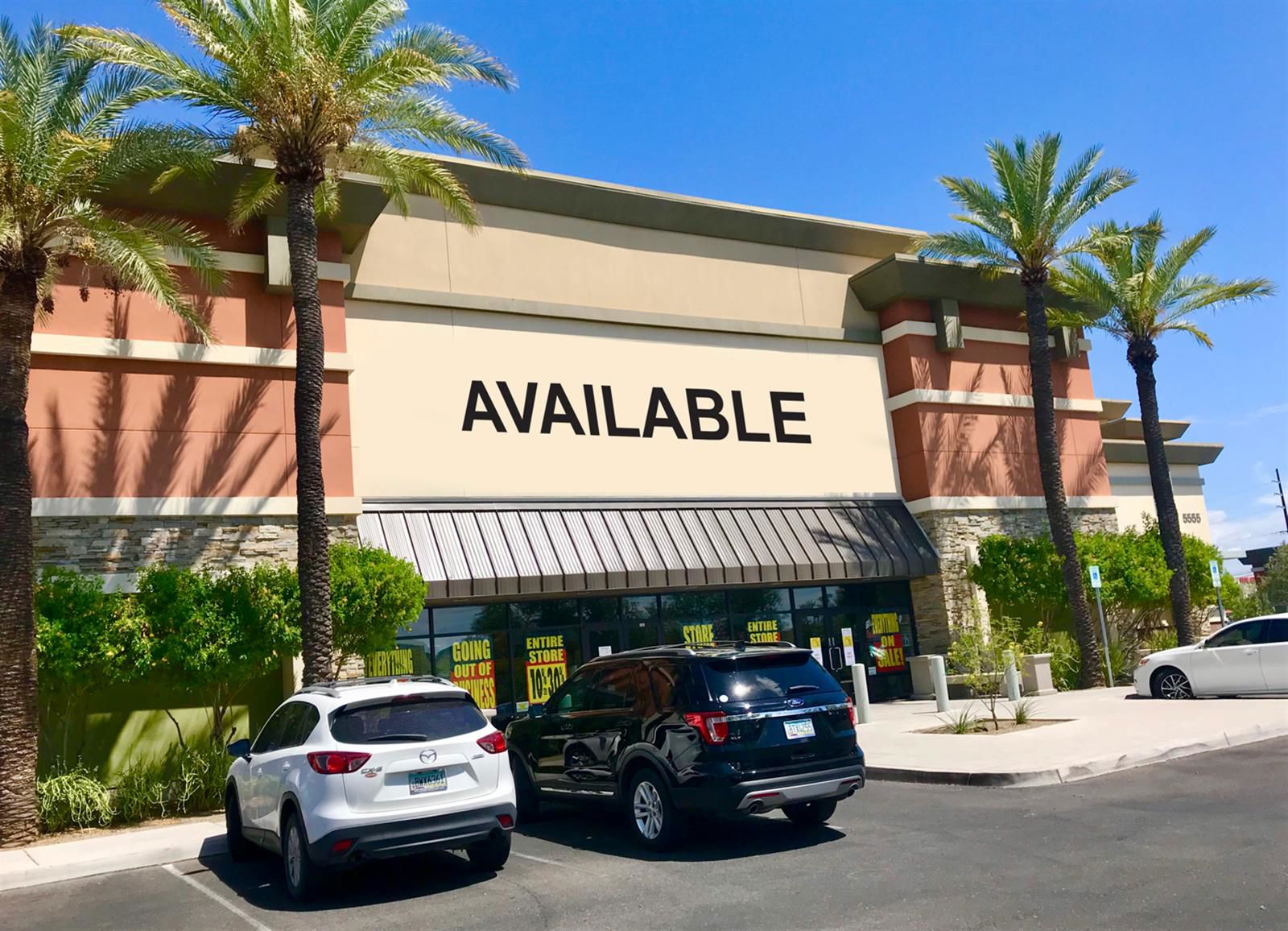 Stein Mart 2 (Available)