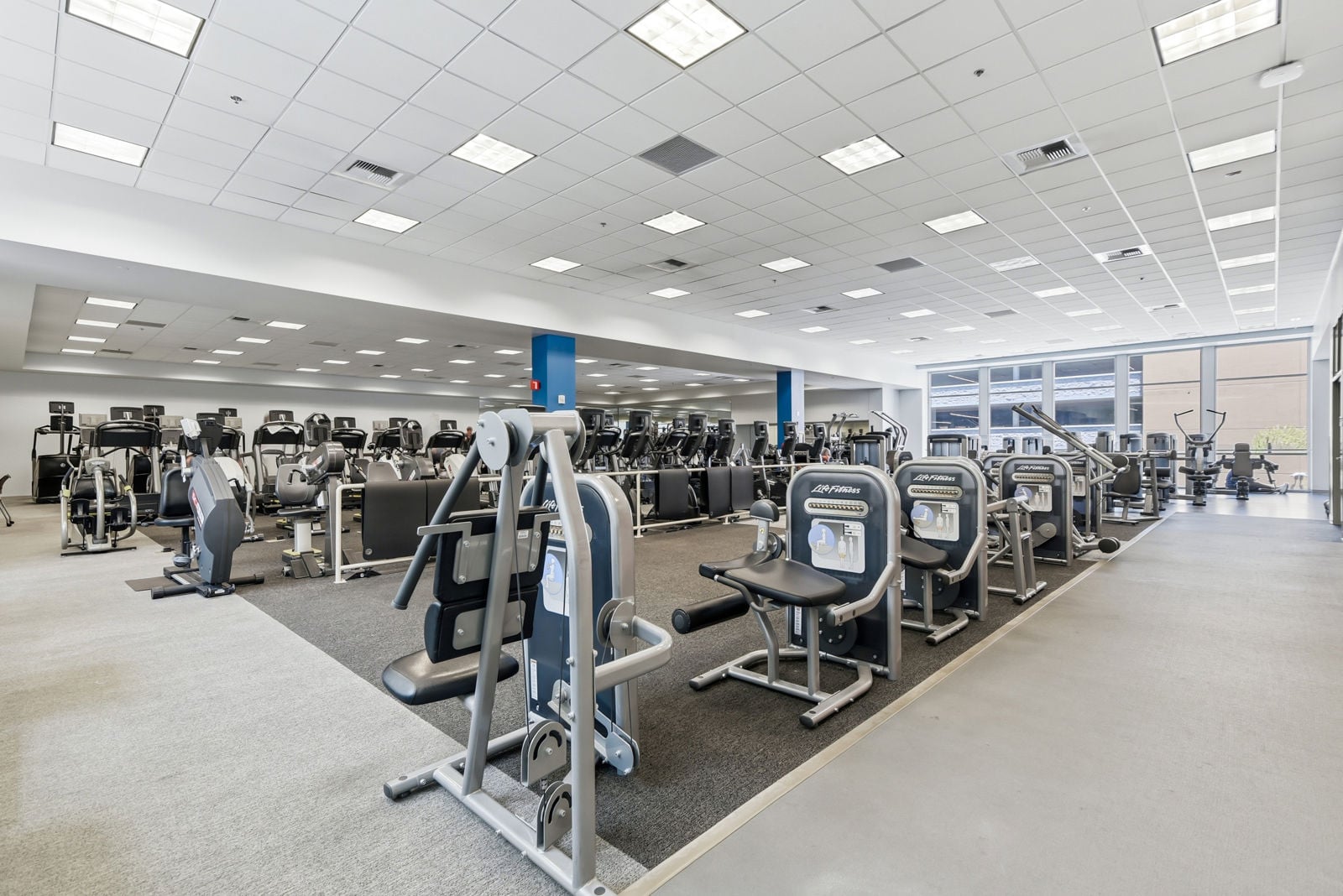 Exercise Machines
