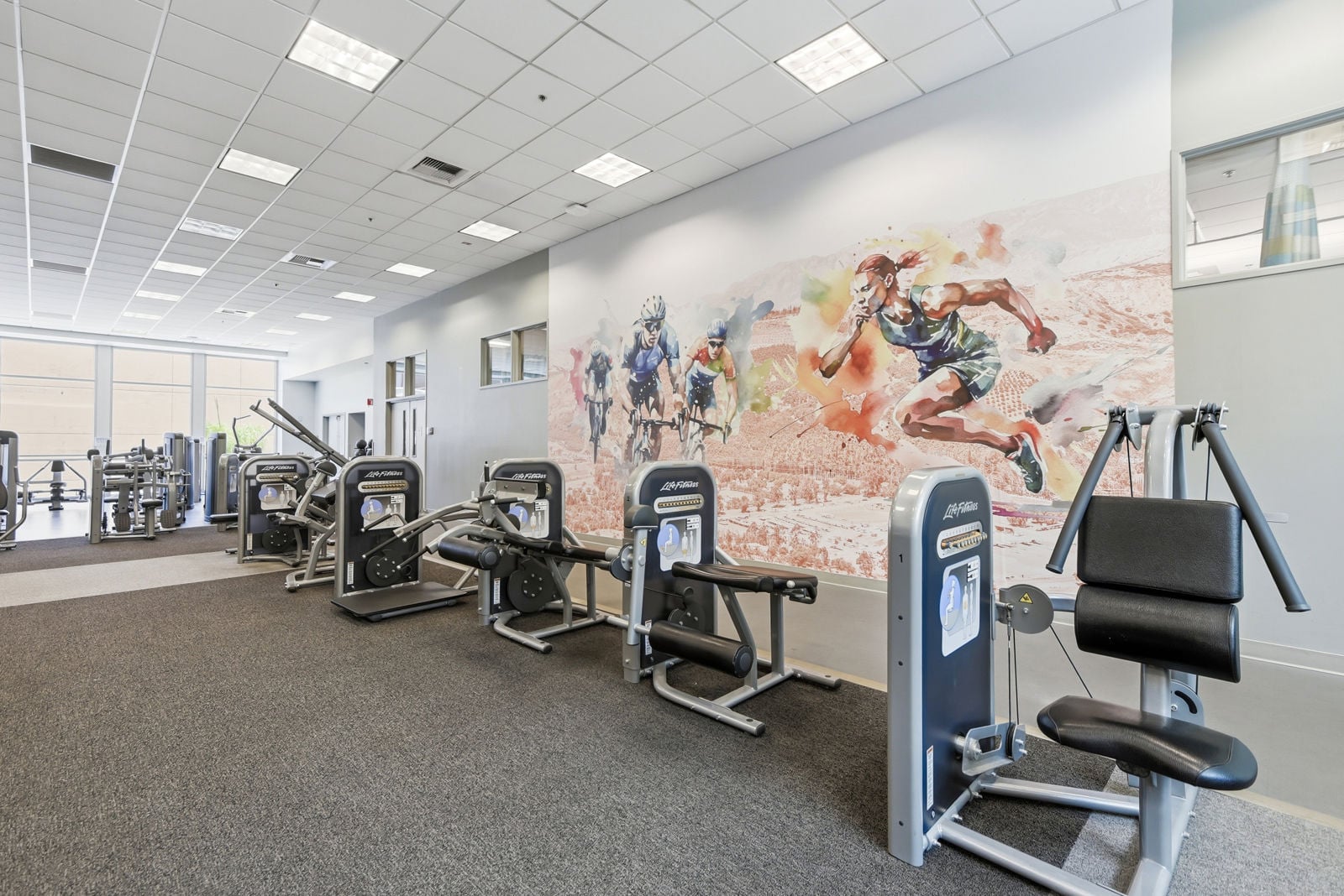 Fitness Area
