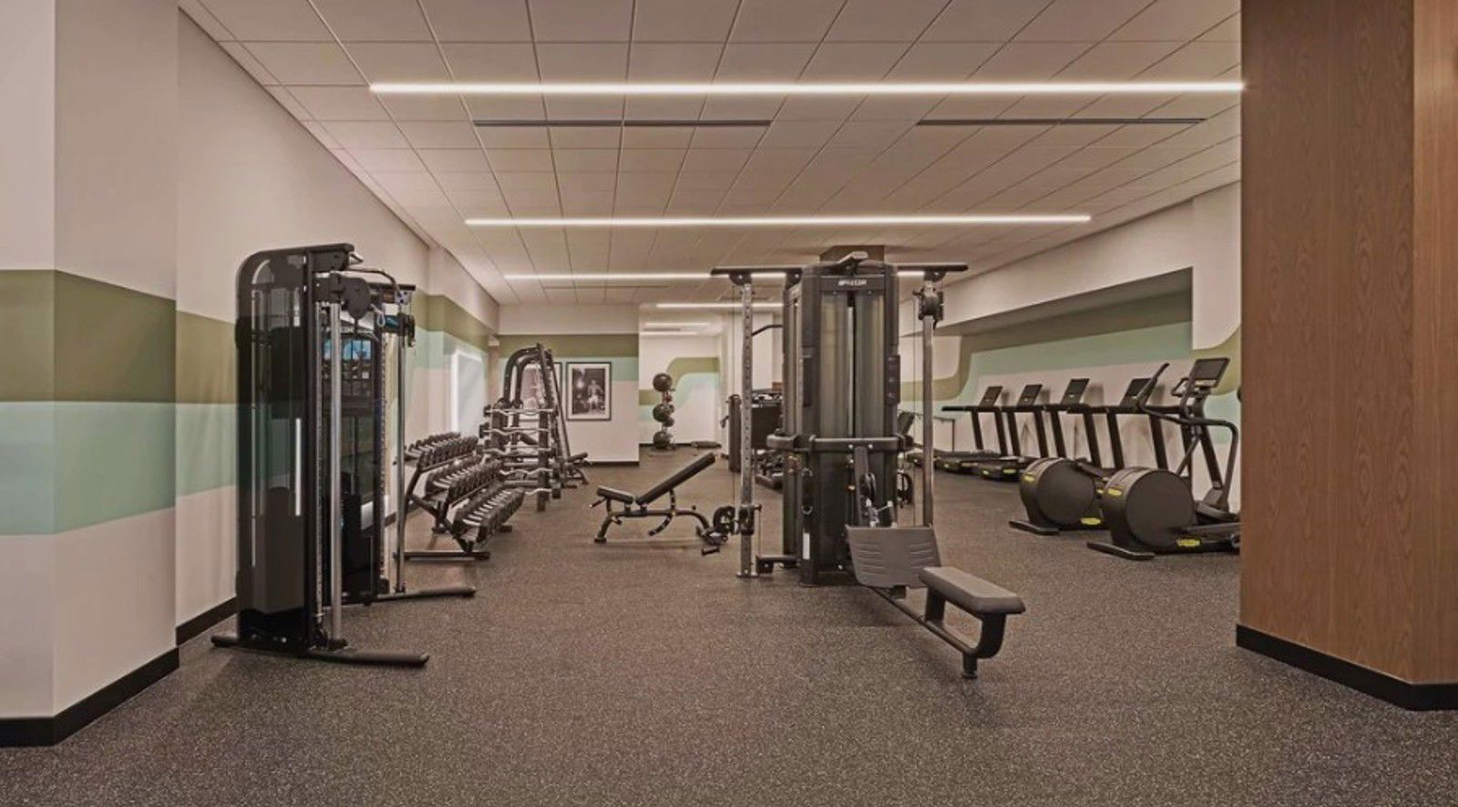 Fitness