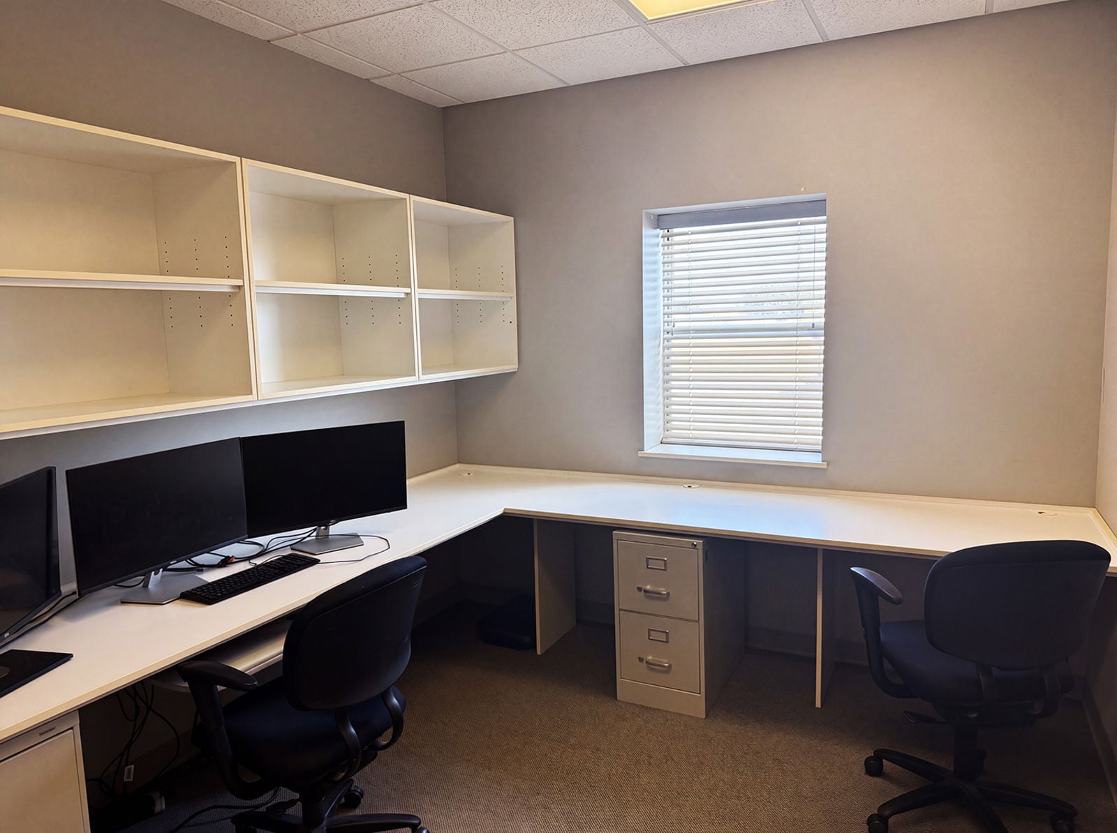 Standard Office