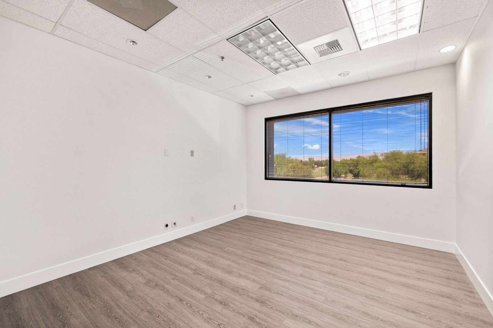 42-web-or-mls-249A8145