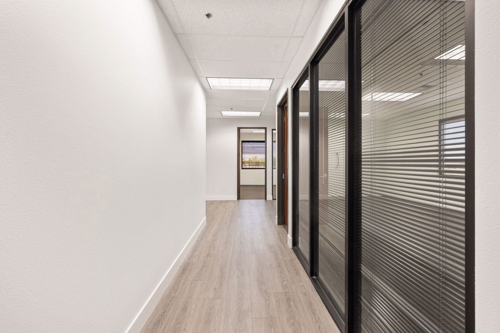 45-web-or-mls-249A8160