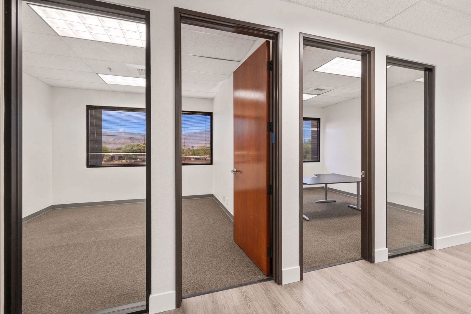 55-web-or-mls-249A8210