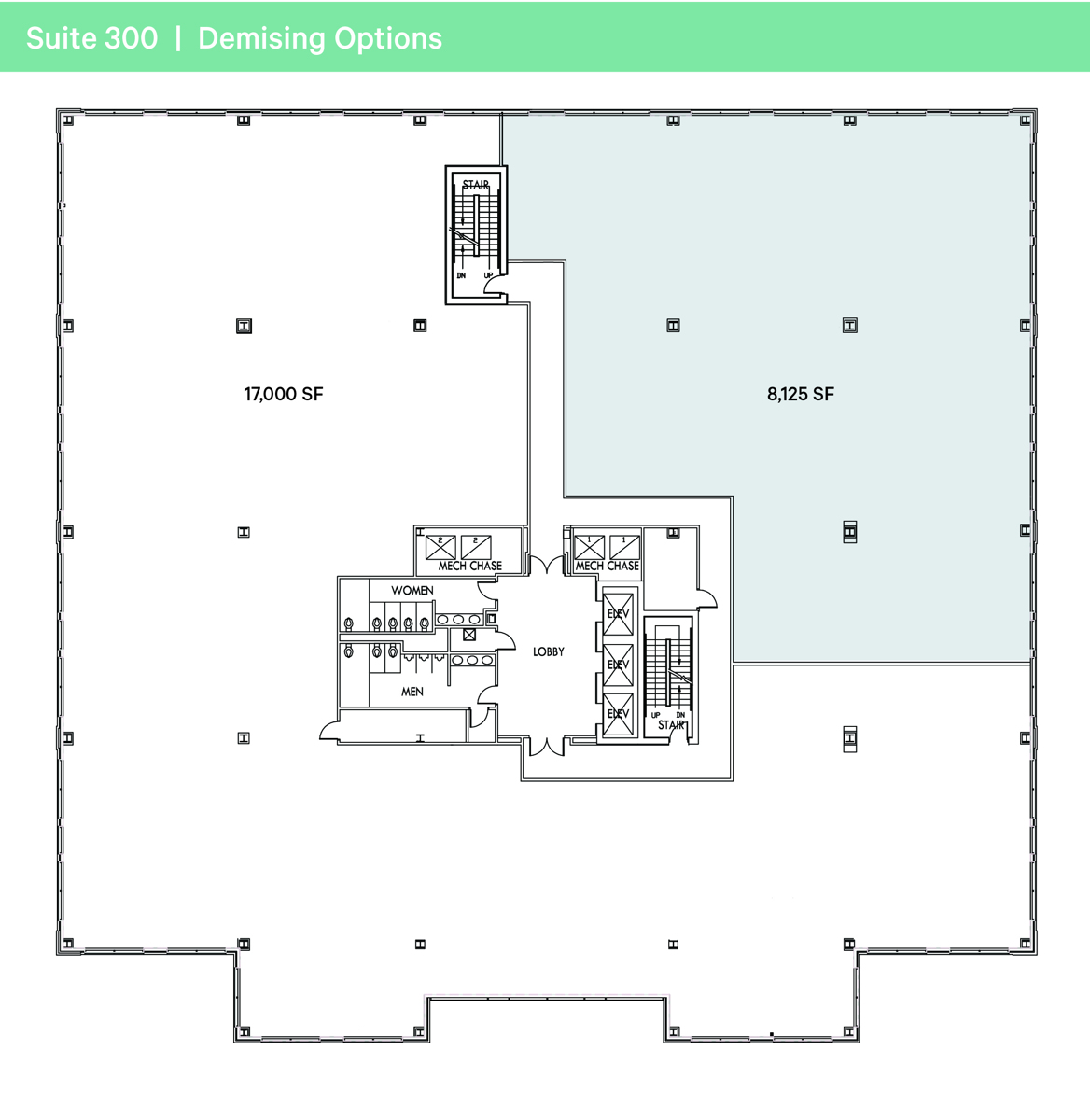 Suite 300 Demising Options