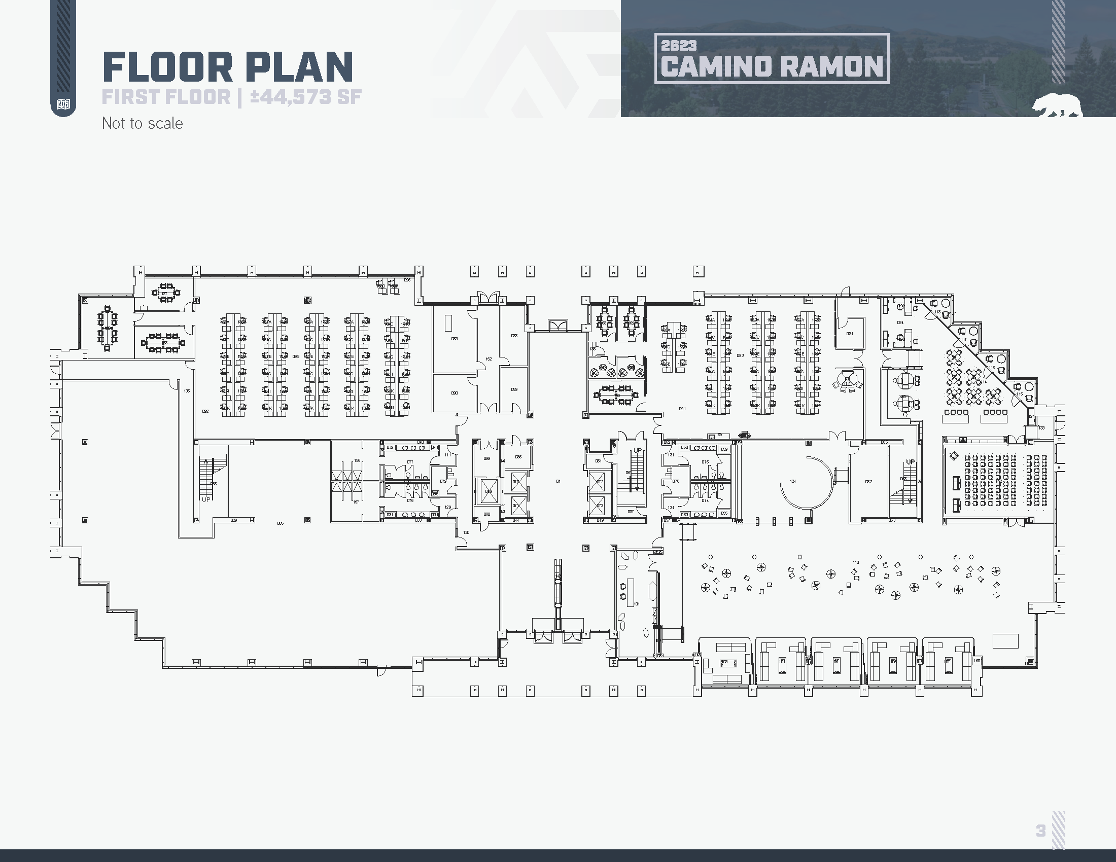 Floor Plans_1st Floor