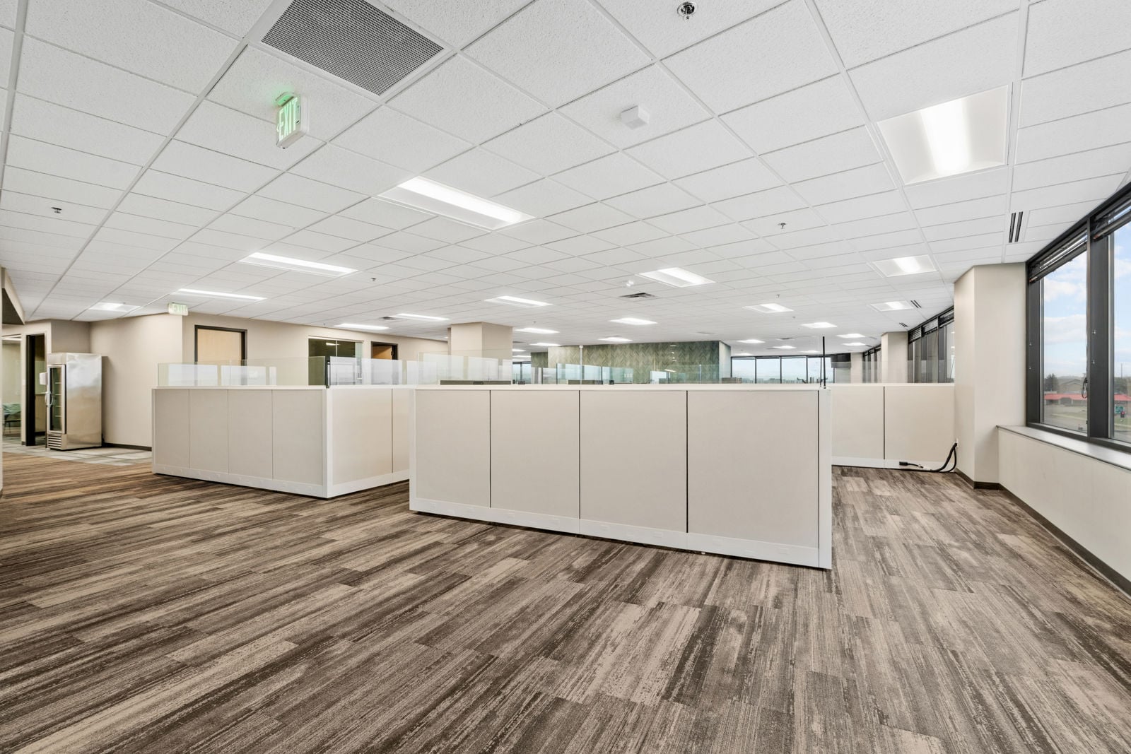 11-print-11995 Singletree Ln -11