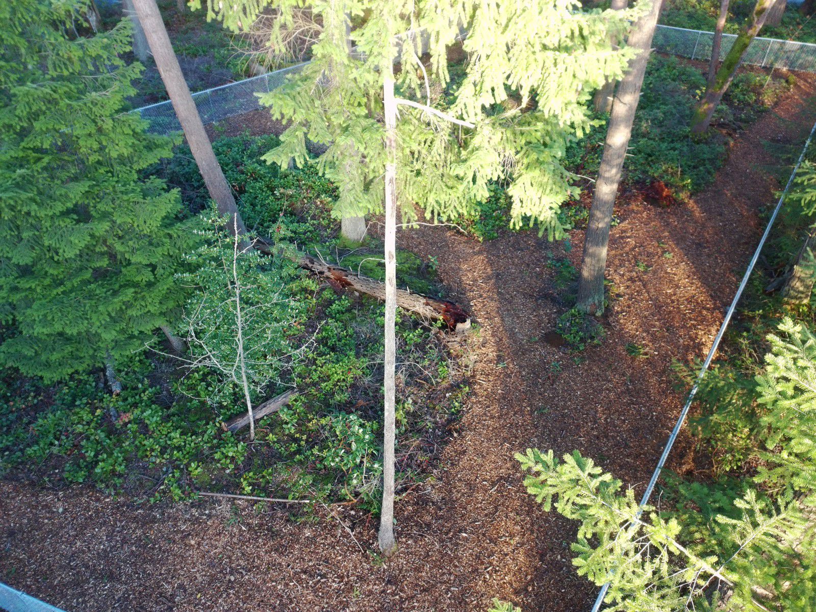 Private Dog Walk Park