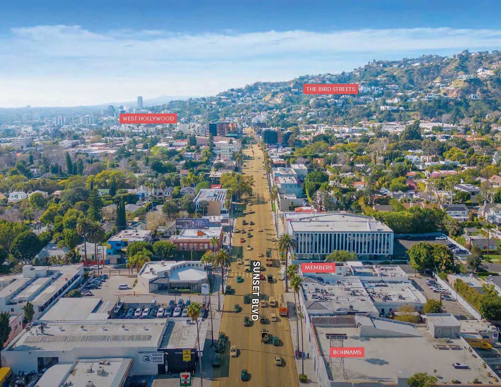 Shoppes at Sunset - CBRE Leasing Package_Page_13