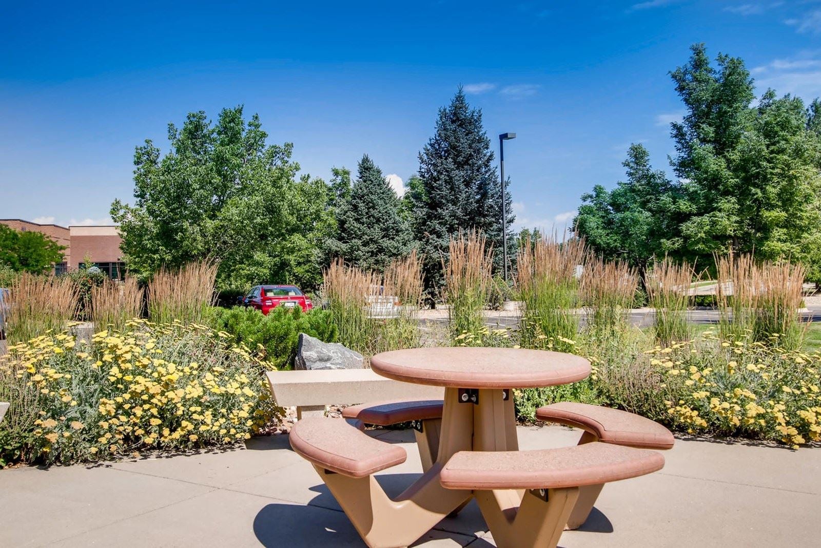 285 Century Pl Louisville CO-large-007-022-Picnic Area-1500x1000-72dpi