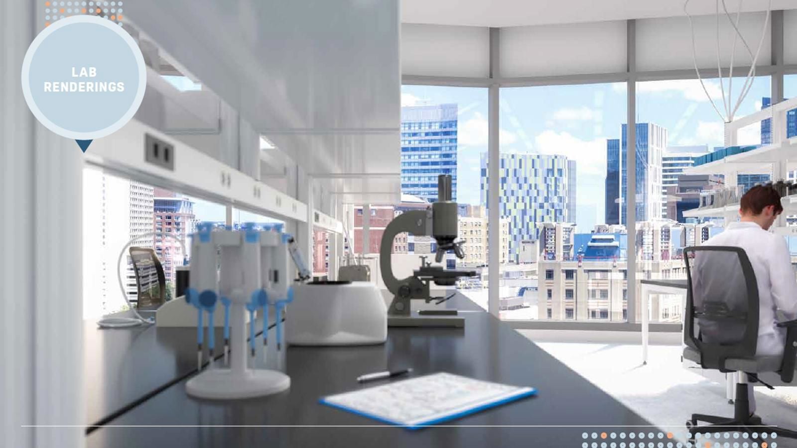 Lab Rendering