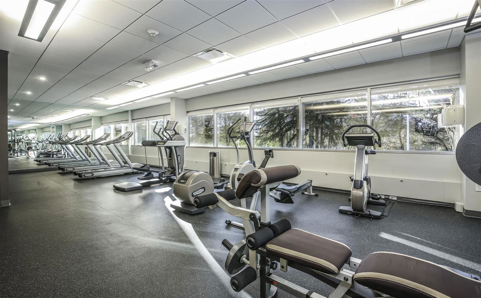 411 Thedore ©J.ISOLINI_22