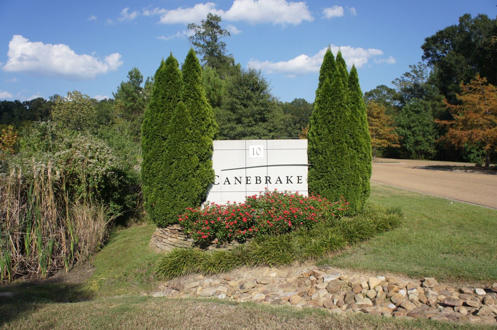 10 Canebrake.JPG