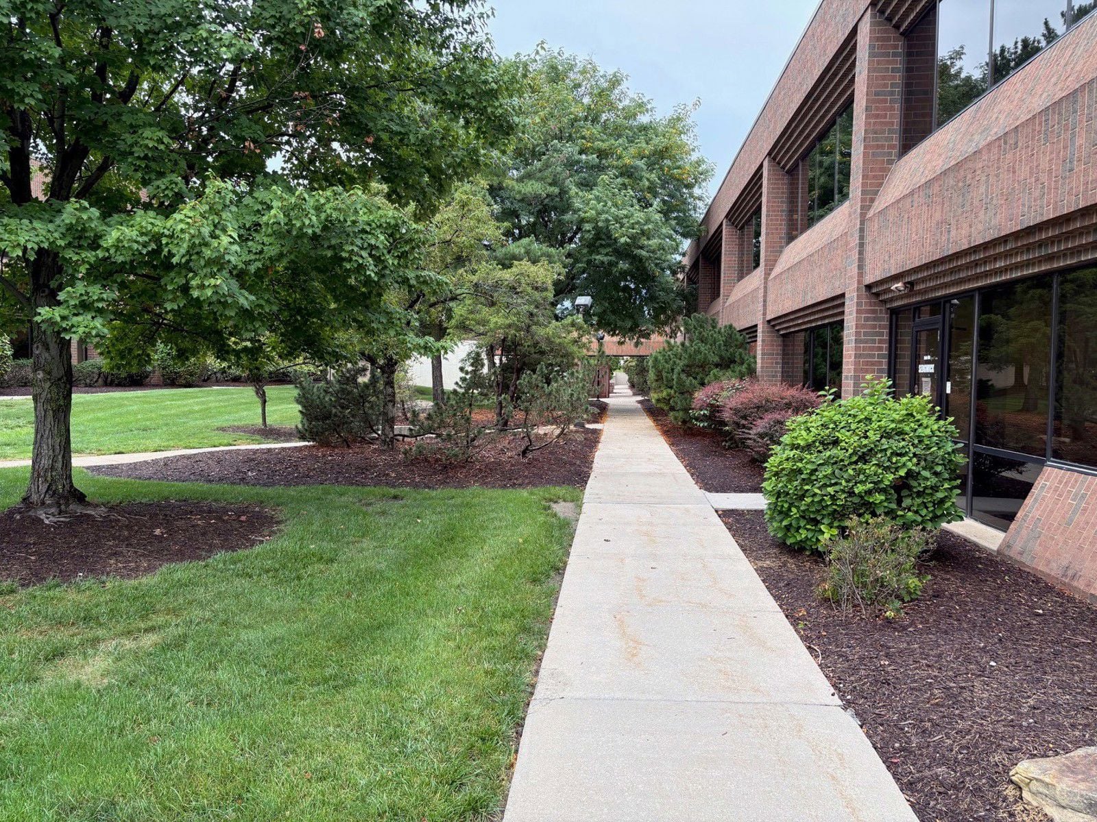 sidewalk