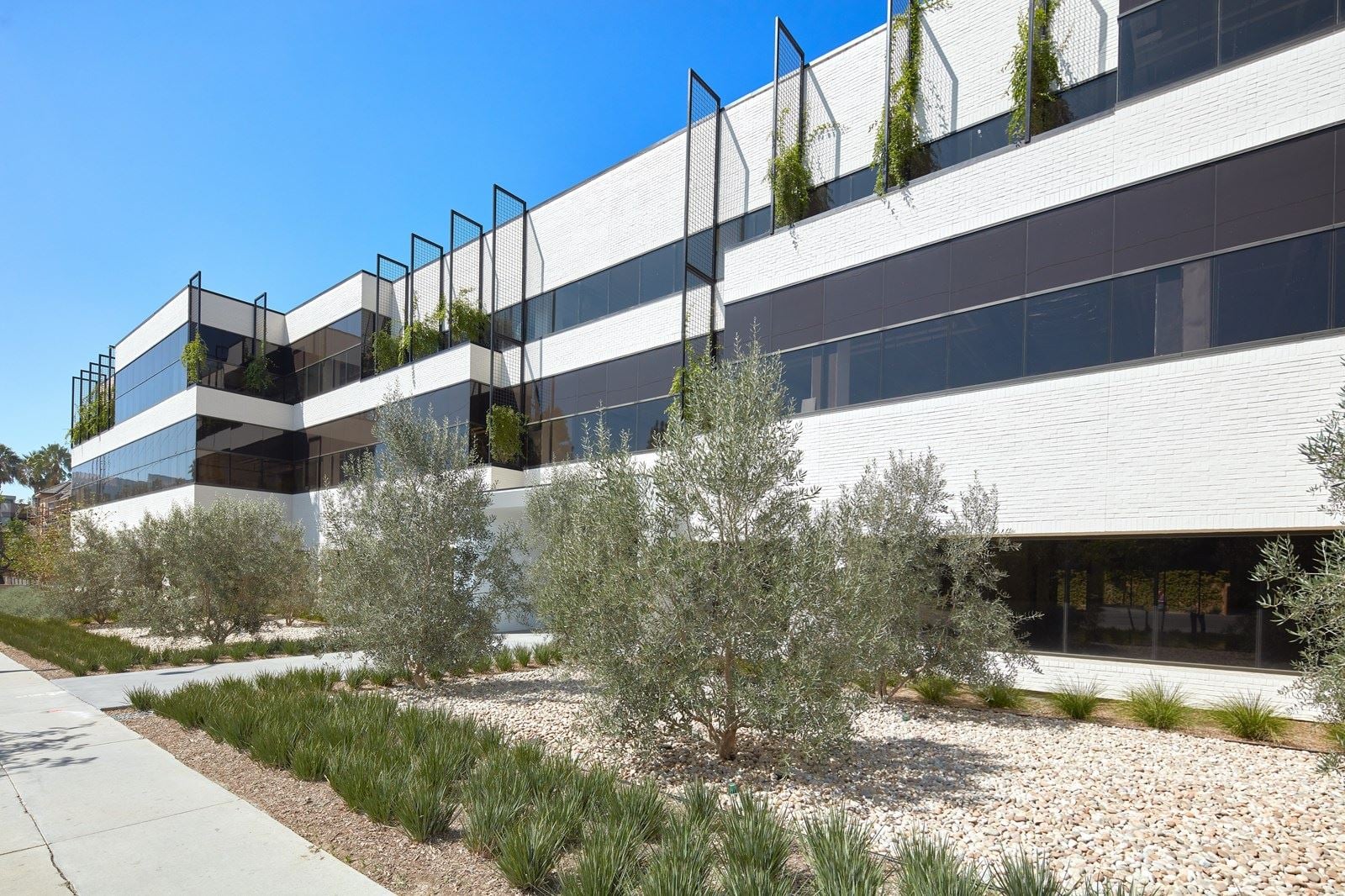 4525-Wilshire-Blvd_ZL_0013