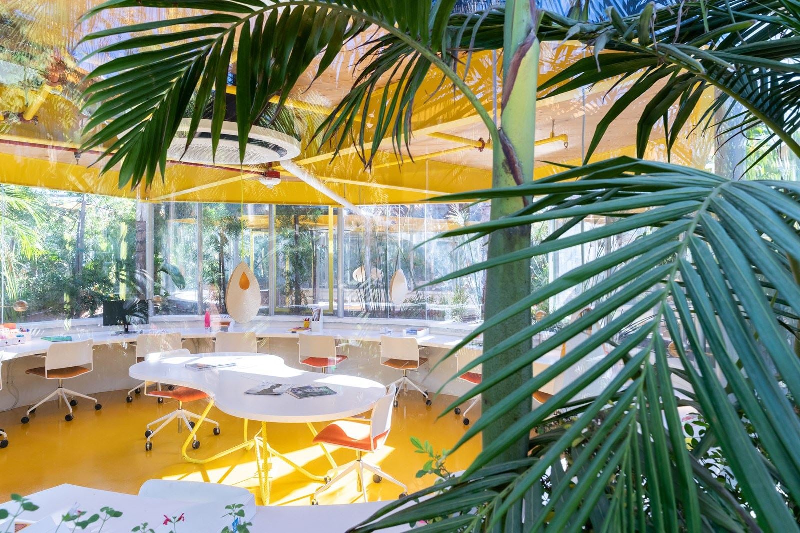 SH Hollywood SCA 5193