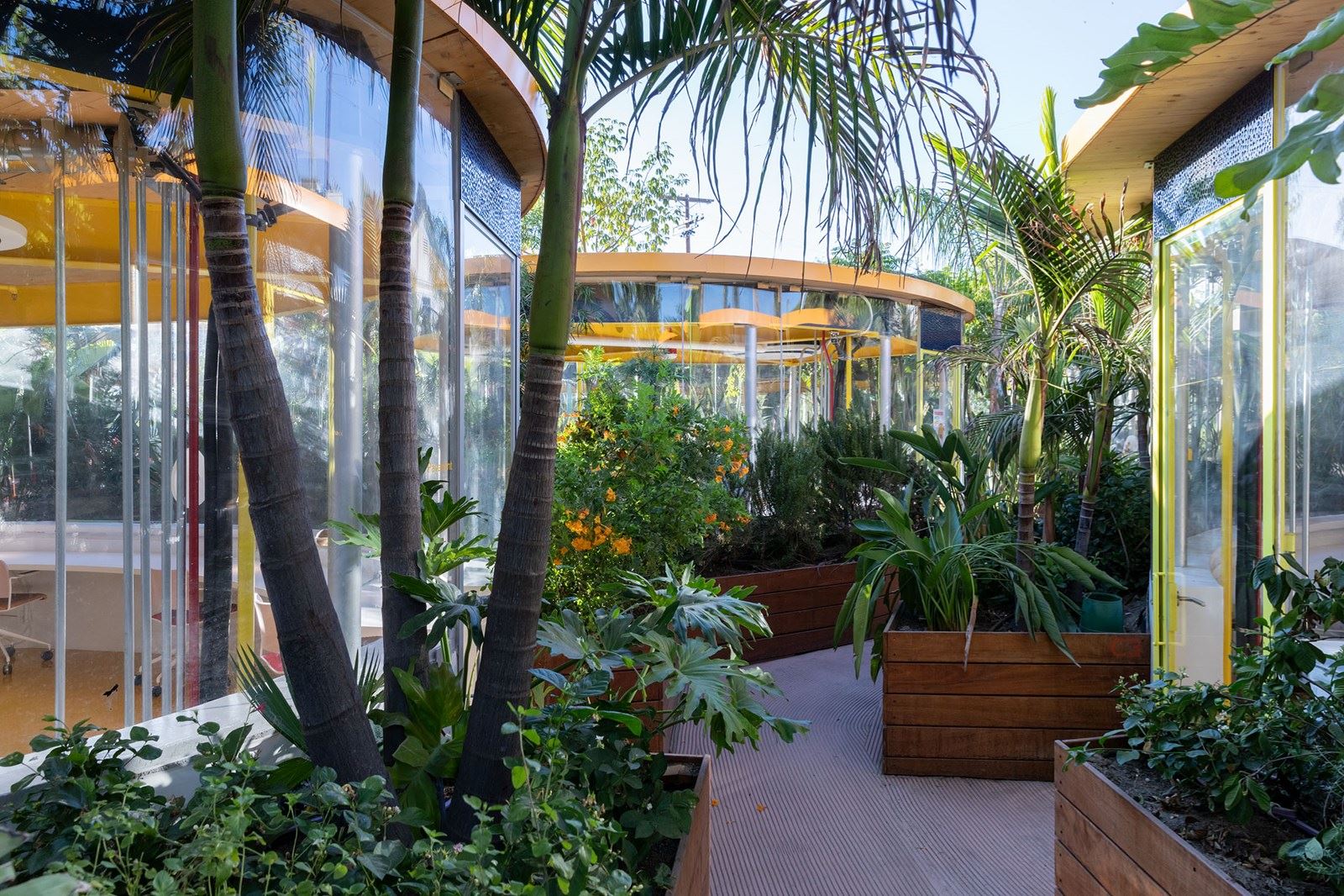 SH Hollywood SCA 6184 (1)