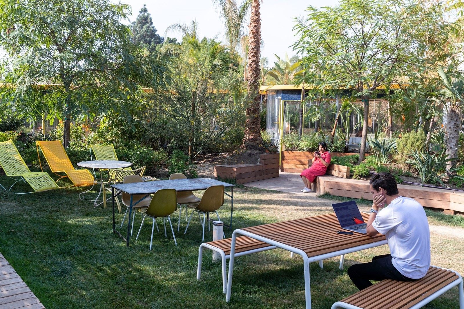 SH Hollywood SCA 6538